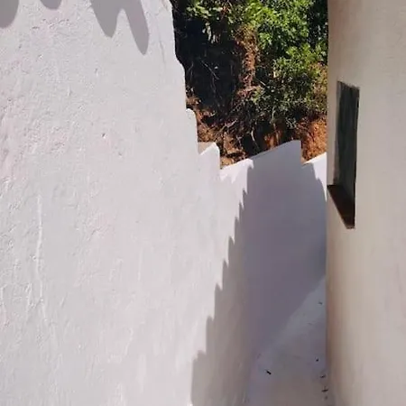 Anna Maria Porto Rafael