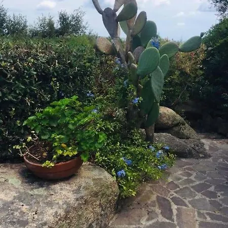 Villa Anna Maria Porto Rafael