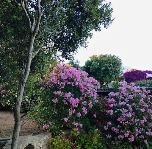 Anna Maria Porto Rafael