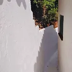 Anna Maria Porto Rafael