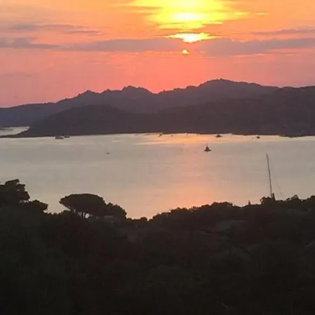 Anna Maria Porto Rafael