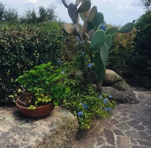 Villa Anna Maria Porto Rafael